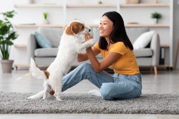 Comportementaliste canin à Bayonne